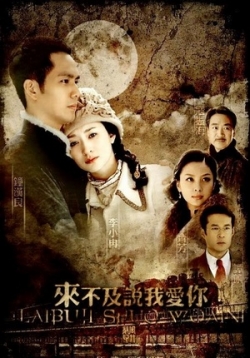       Lai Bu Ji Shuo Wo Ai Ni (2010)  